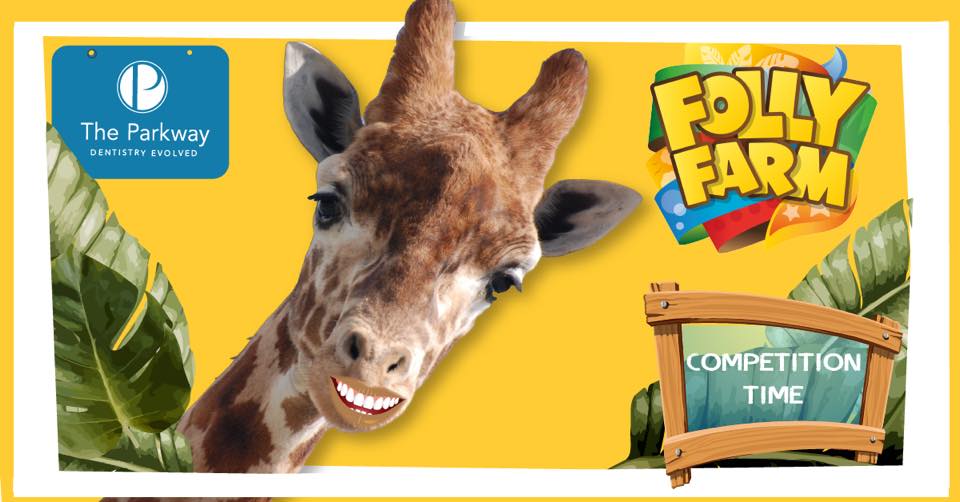 geekabite website design marketing example: folly farm